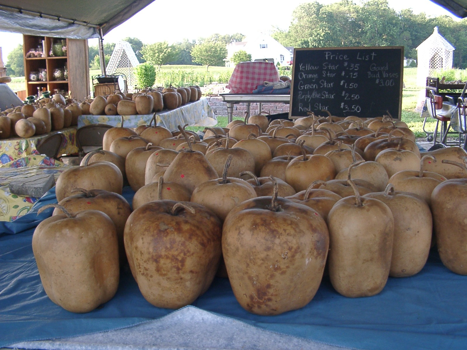 Raw Gourds