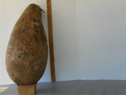 Big Bear Gourd Seed