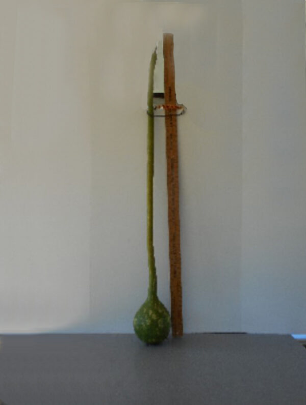 Extra Long Handle Dipper Gourd Seed