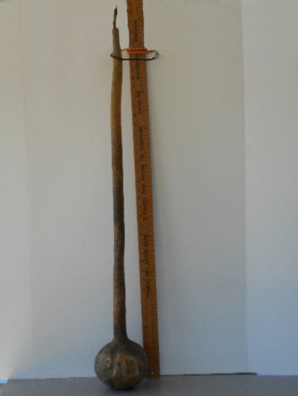 Long Handle Dipper Gourd Seed