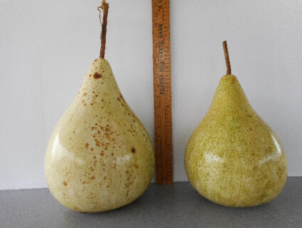 Martin Gourd Seed