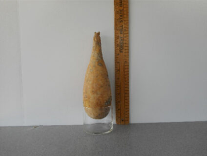 Small Penguin Gourd Seed