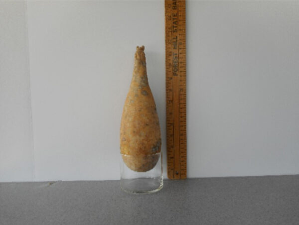 Small Penguin Gourd Seed